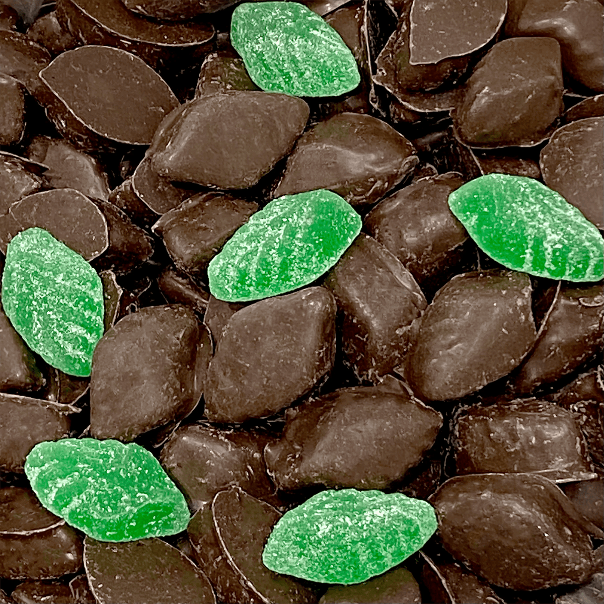 Buy Chocolate Covered Mint Leaves Online Choc Mint Leaves Australia